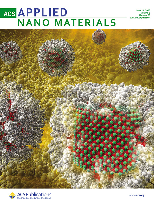 ACS Applied Nano Materials, 8 (23) (2025)誌 - Supplementary Cover