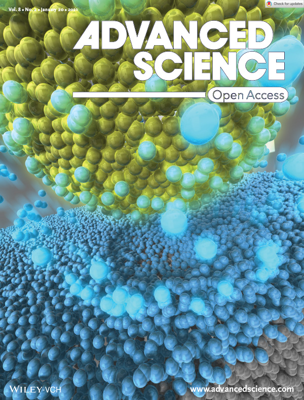 Advanced Science, 8 (2) (2021) - Back Cover