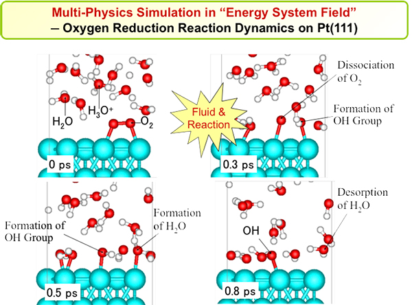 Application Fields of Multi-Physics Computational Science Simulation