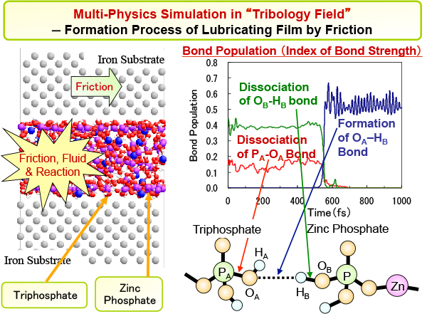 Multi-Physics Computational Science Simulation for “Tribology Field”